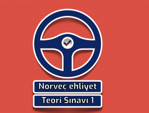 Norveç Ehliyet Teori Sınavı 1