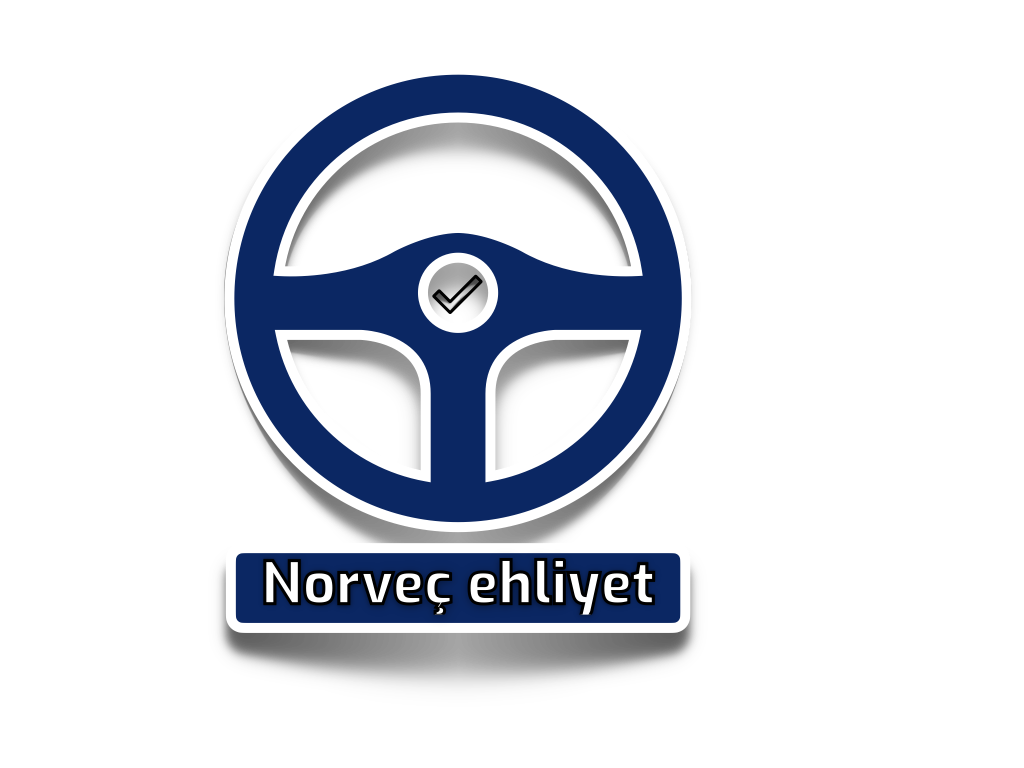 Norveç Ehliyeti Teori Soruları