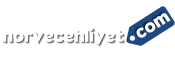 norvec ehliyet