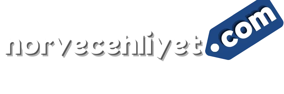 norvec ehliyet
